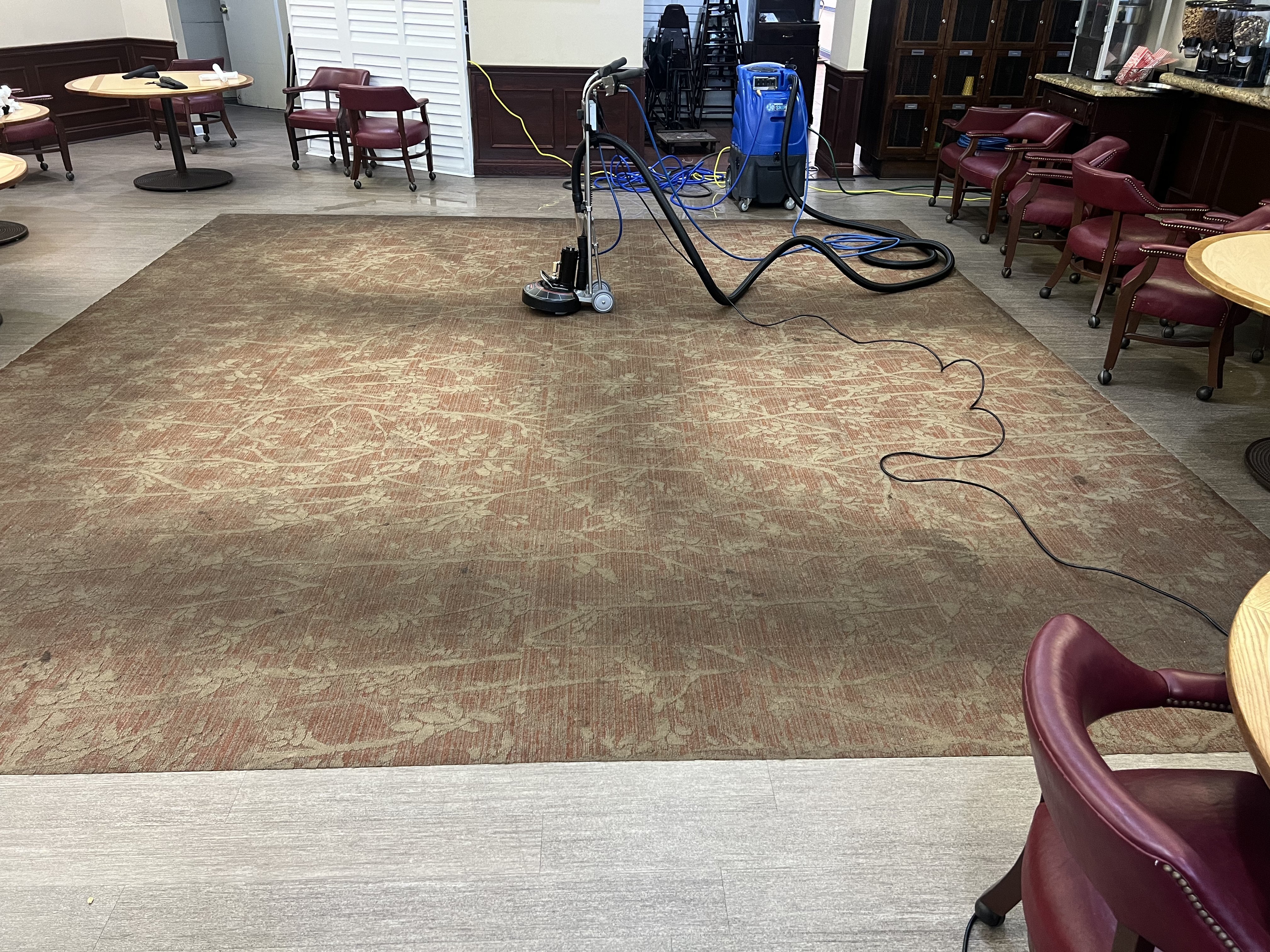Dirty patterned lobby carpet before extraction